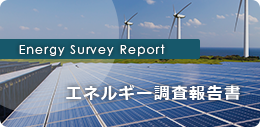 Energy survey エネルギー調査