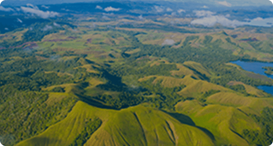 Papua New Guinea